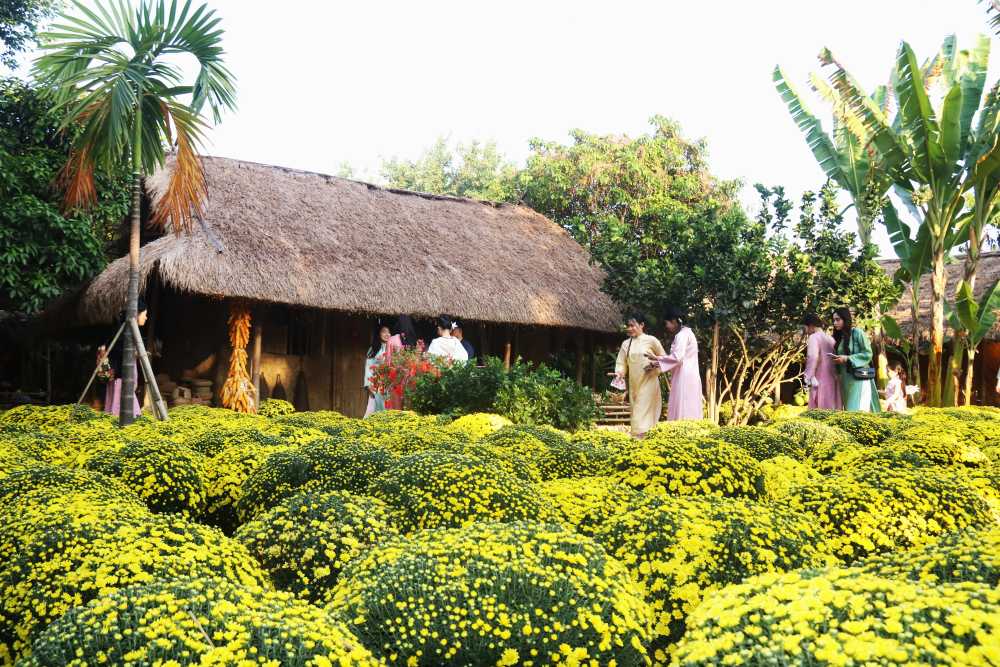 Đặt vé xe Tết 2027